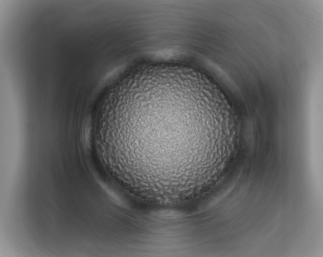 X0000113330590200909281229