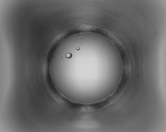 X0000113330591200909281229