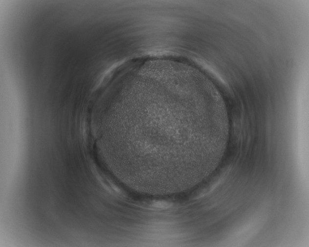 X0000113330592200909281229