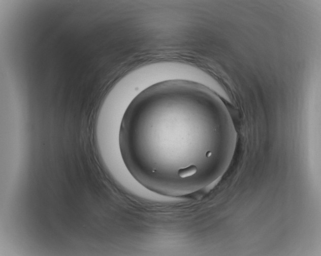 X0000113330593200909281229