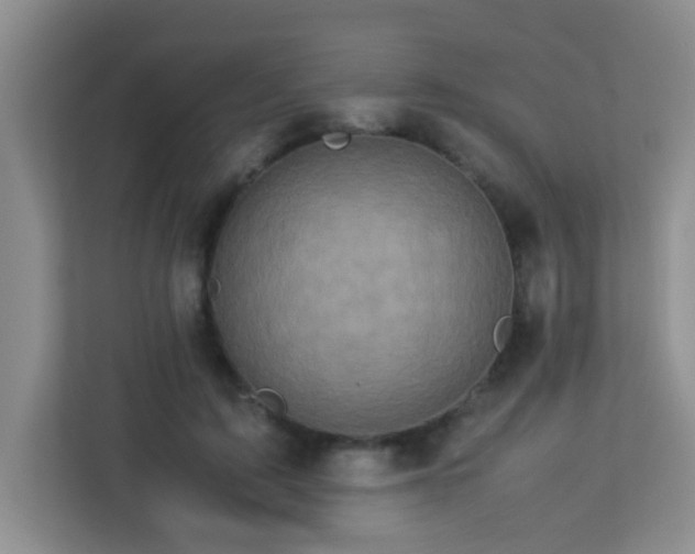 X0000113330595200909281229