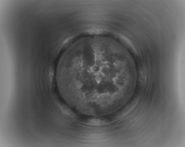 X0000113330596200909281229