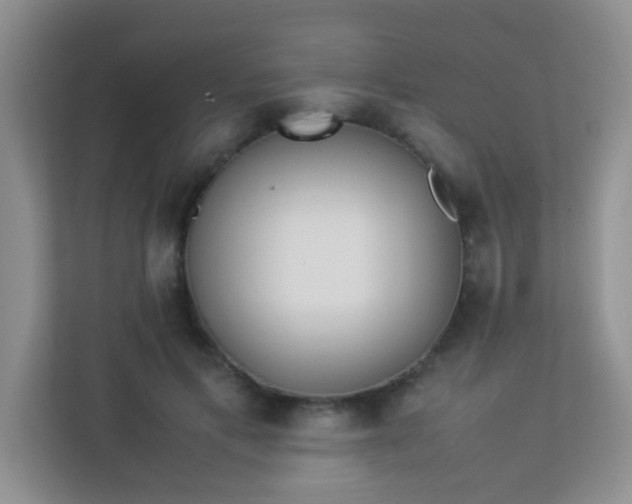 X0000113330597200909281229