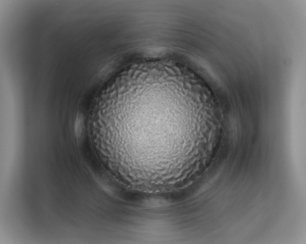 X0000113330598200909281229