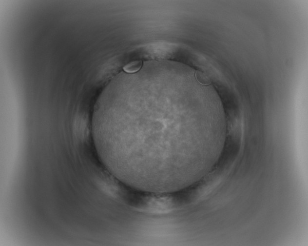 X0000113330599200909281229