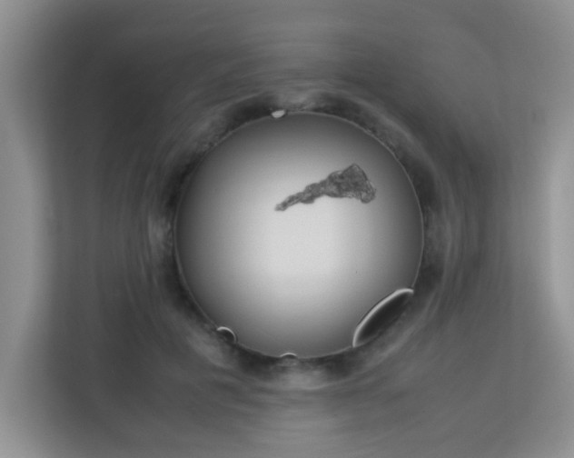 X0000113330601200909281229