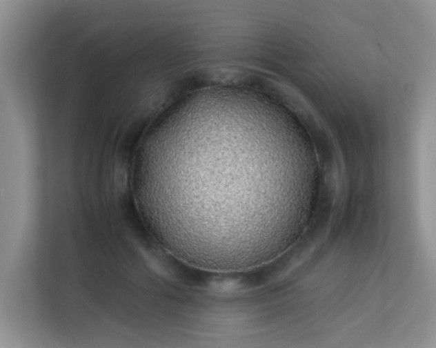 X0000113330602200909281229