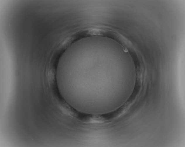 X0000113330603200909281229