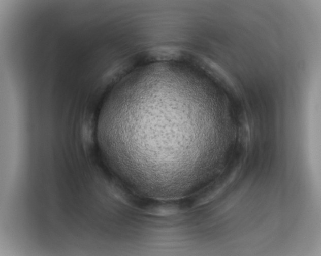 X0000113330604200909281229