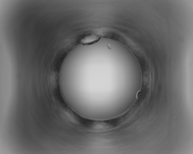X0000113330605200909281229