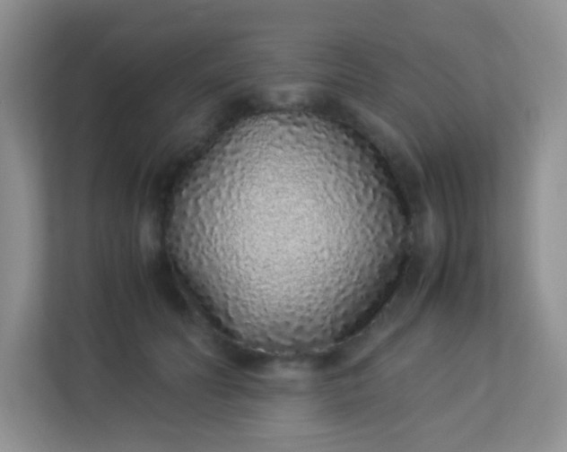 X0000113330606200909281229