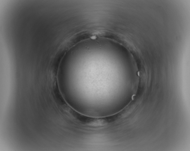 X0000113330609200909281229