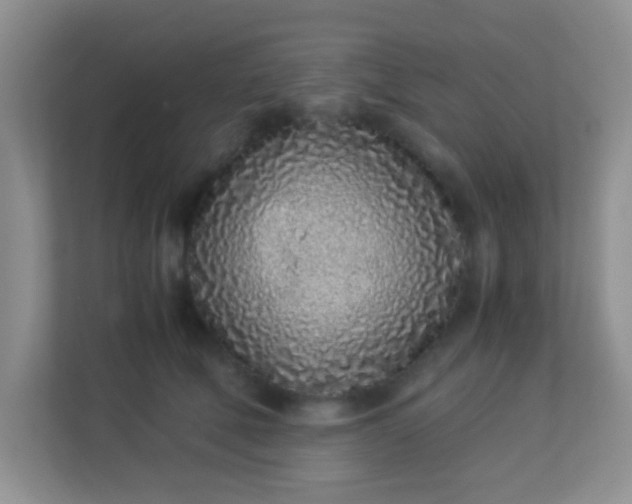 X0000113330610200909281229
