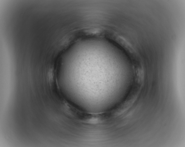 X0000113330612200909281229