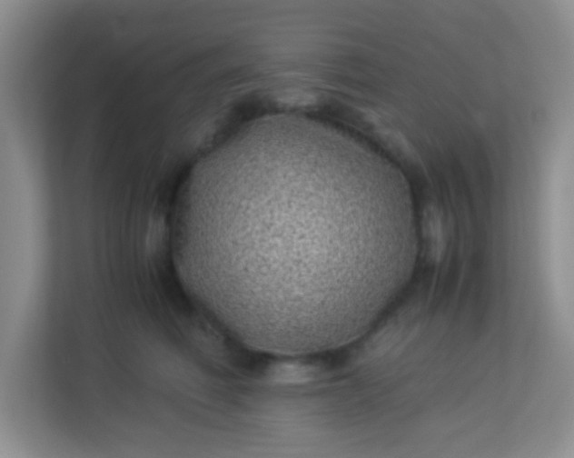 X0000113330614200909281229