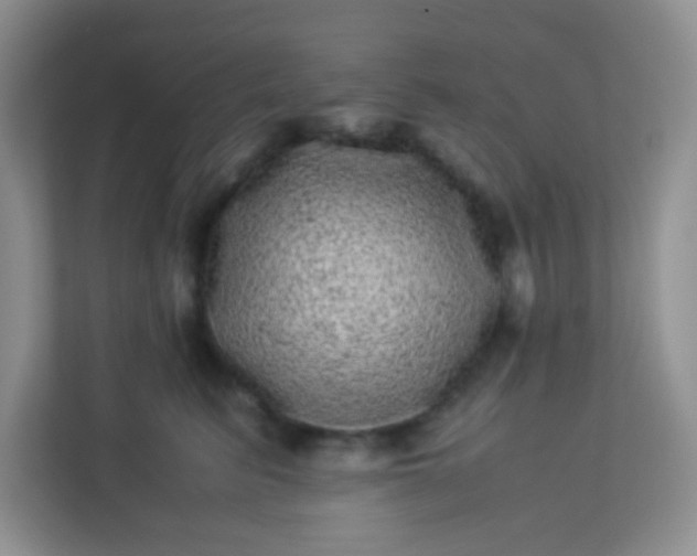 X0000113330615200909281229