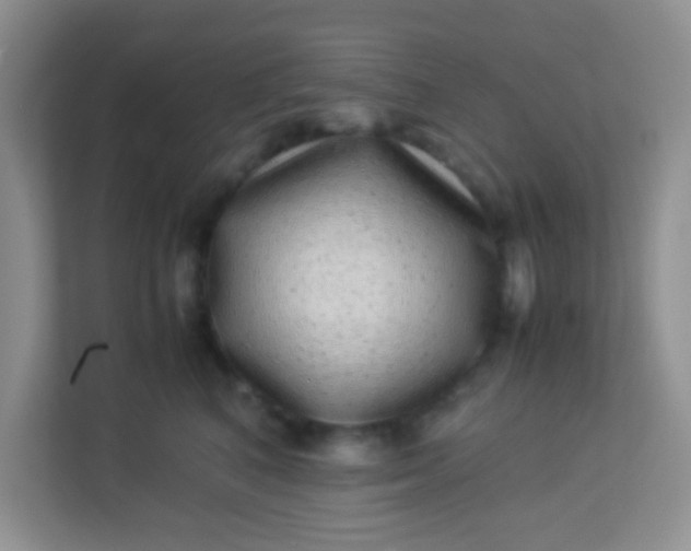 X0000113330616200909281229