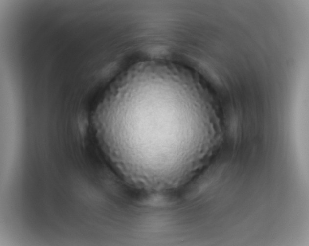 X0000113330618200909281229