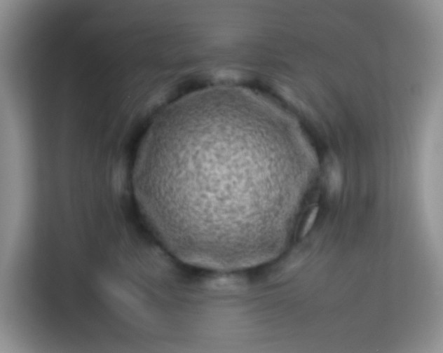 X0000113330619200909281229