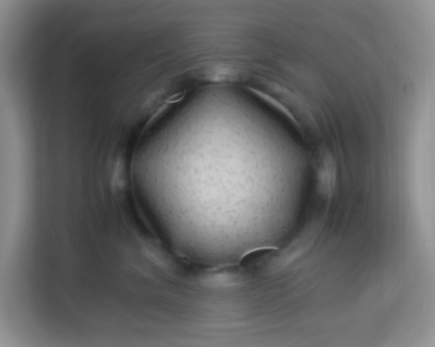 X0000113330620200909281229