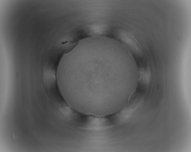 X0000113330621200909281229