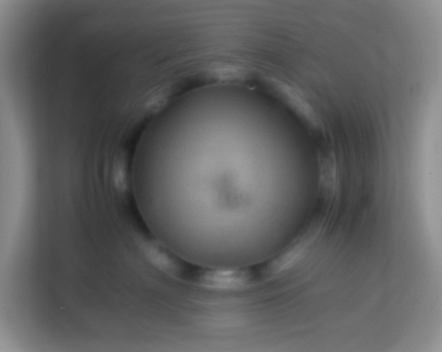 X0000113330622200909281229