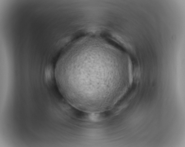 X0000113330623200909281229