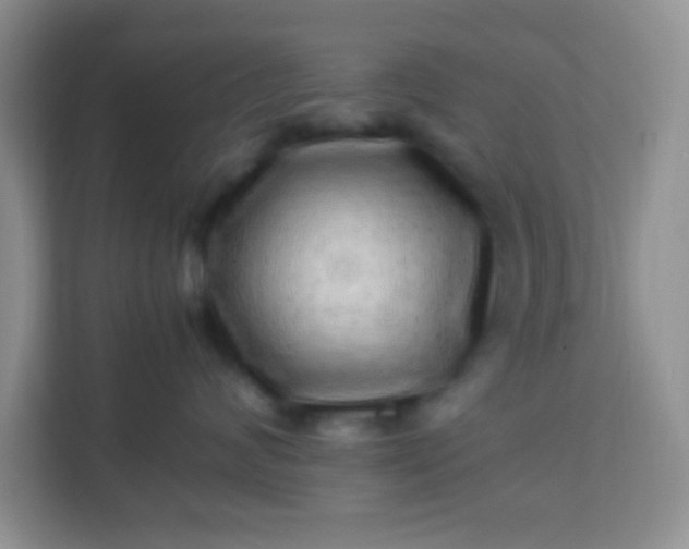 X0000113330624200909281229