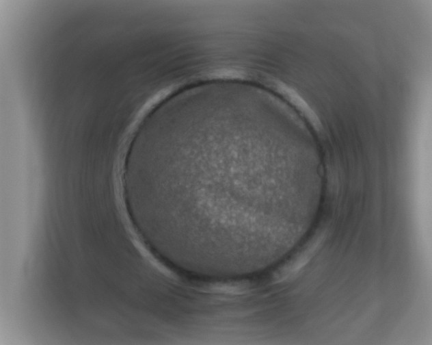 X0000113330625200909281228