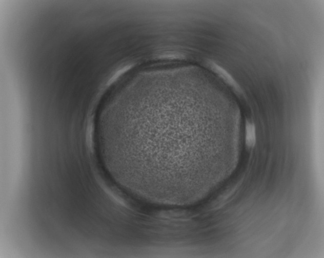 X0000113330627200909281228