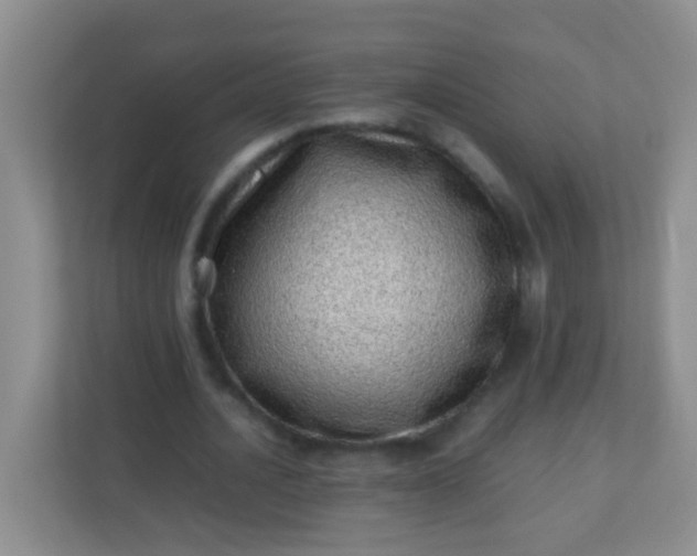 X0000113330628200909281228