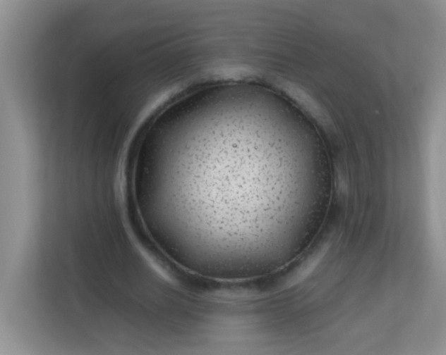 X0000113330630200909281228