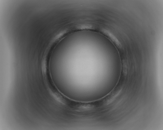 X0000113330631200909281228