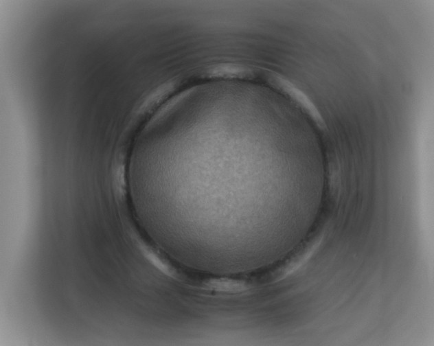 X0000113330633200909281228