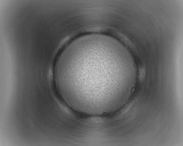 X0000113330636200909281228