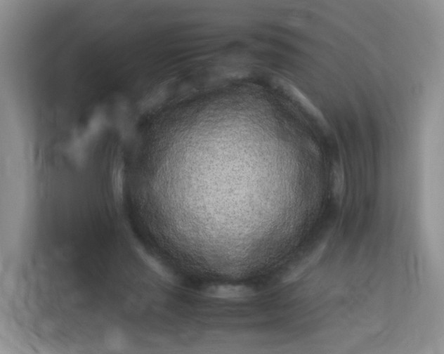 X0000113330637200909281228