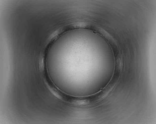 X0000113330638200909281228