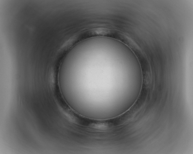 X0000113330639200909281228