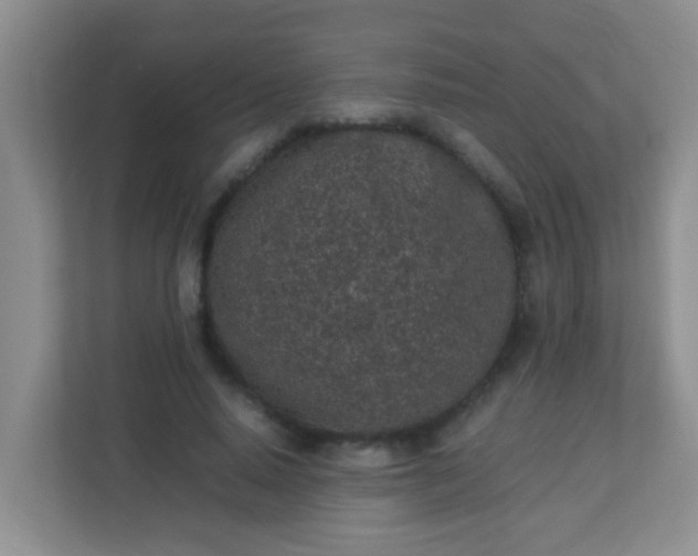 X0000113330640200909281228