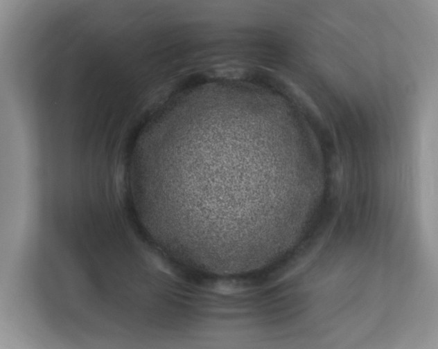 X0000113330641200909281228
