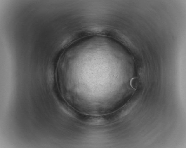 X0000113330642200909281228