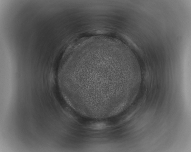 X0000113330643200909281228
