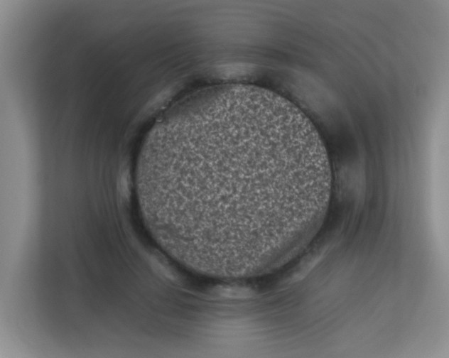 X0000113330644200909281228