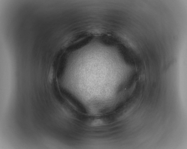 X0000113330647200909281228