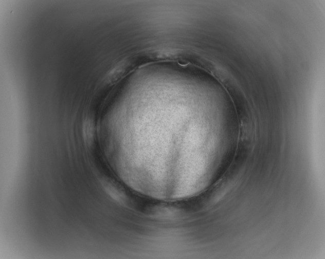 X0000113330648200909281228