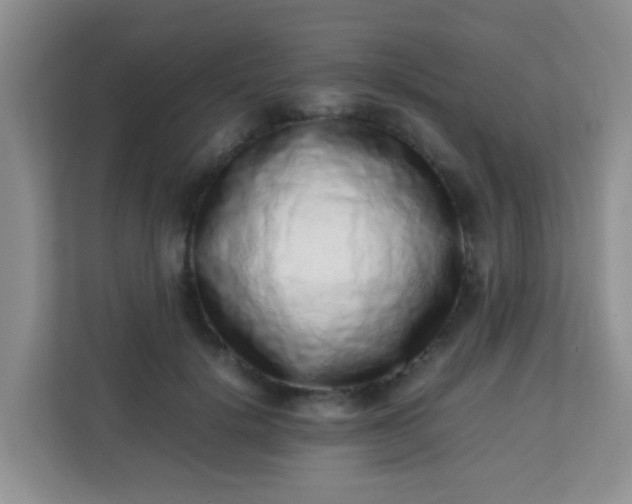 X0000113330652200909281228