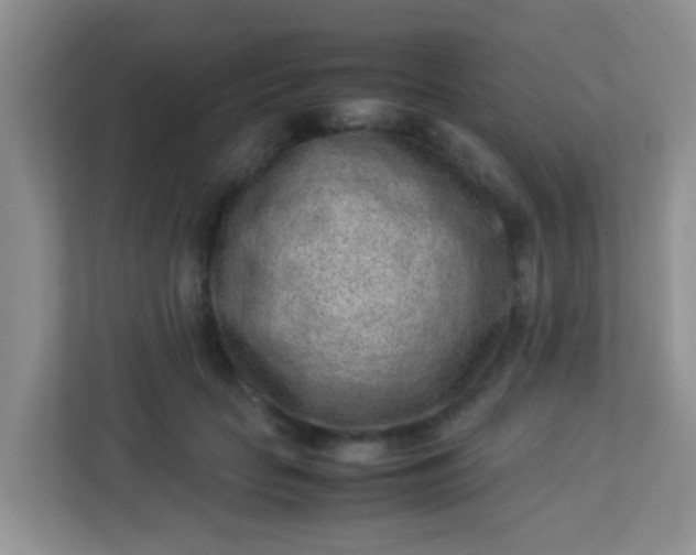 X0000113330653200909281228