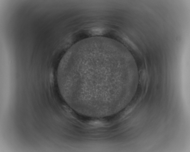X0000113330655200909281228
