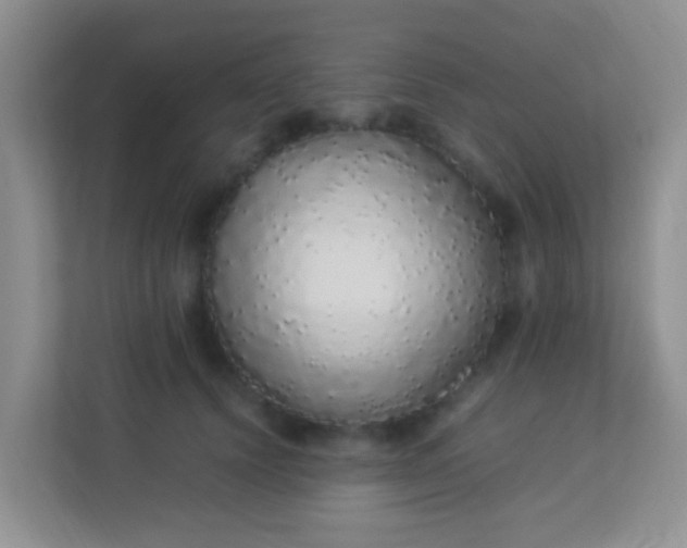 X0000113330656200909281228