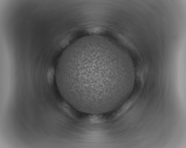 X0000113330660200909281228